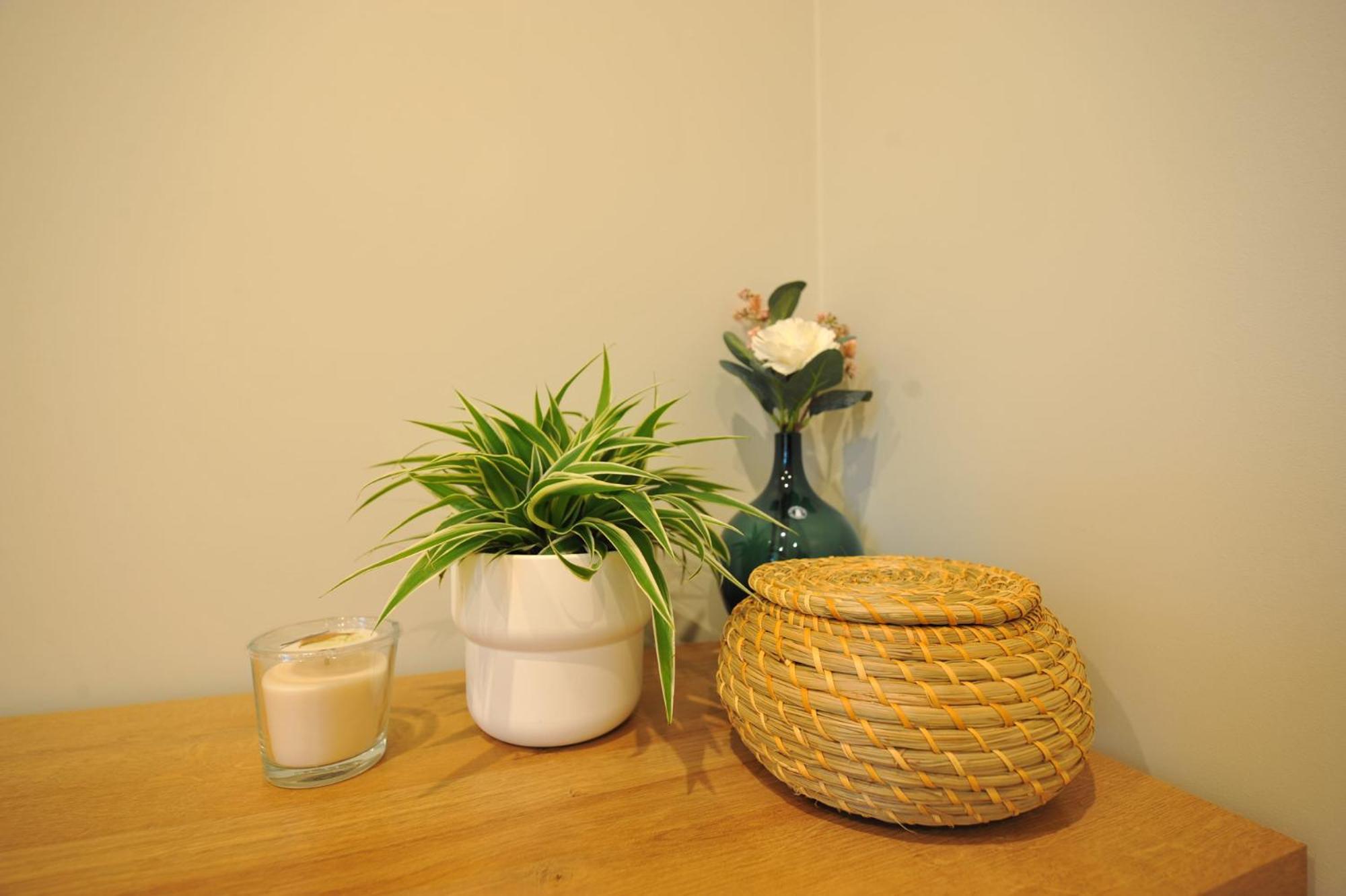 Central Comfort At Hanzas Residence, Stay Near Cafes, Bars, Museums & Esplanade ريغا الغرفة الصورة